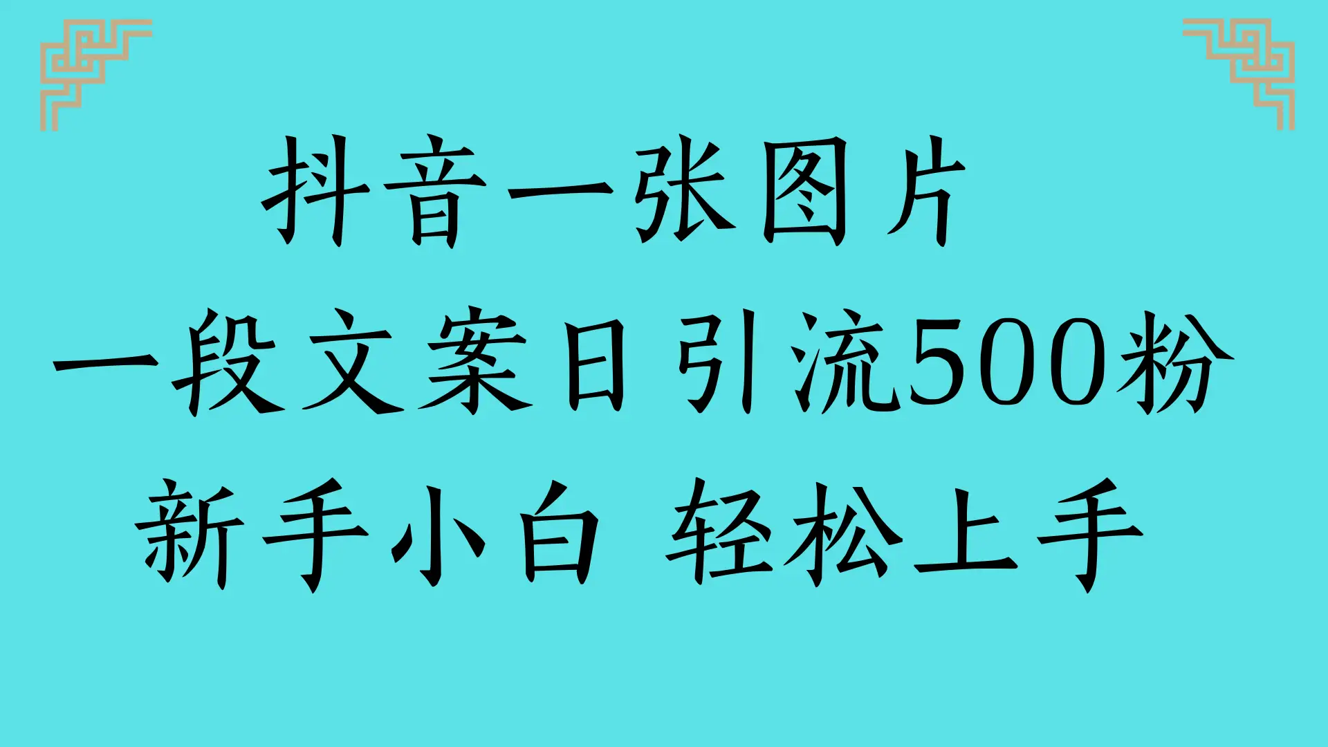 抖音一张图片 一段文案日引流500粉 新手小白 轻松上手