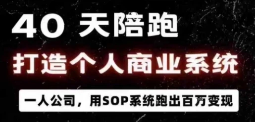【精】40天陪跑打造个人商业系统，一人公司，用SOP系统跑出百W变现
