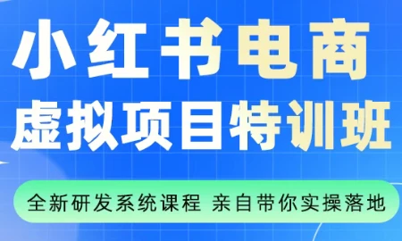 【精】陆明明·小红书虚拟项目特训班(更新9月)