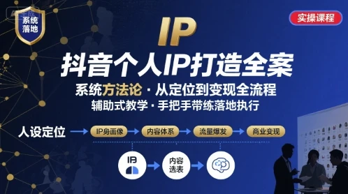 【精】抖音个人IP系统落地实操大课，实操课程，辅助落地