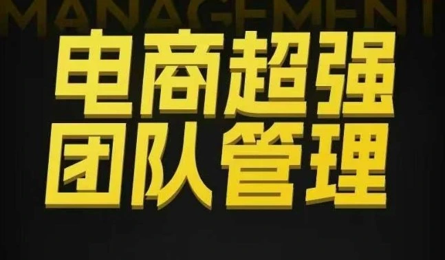 【精】电商超强团队管理，组织绩效，到用人执行，分权合伙